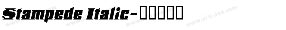 Stampede Italic字体转换